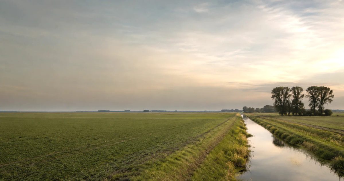 Weids Nederlands agrarisch landschap met velden en een sloot